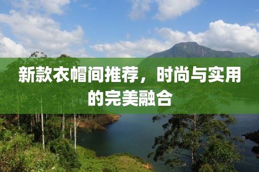 新款衣帽间推荐，时尚与实用的完美融合