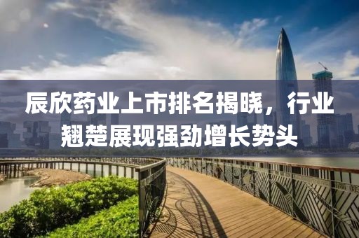 辰欣药业上市排名揭晓，行业翘楚展现强劲增长势头