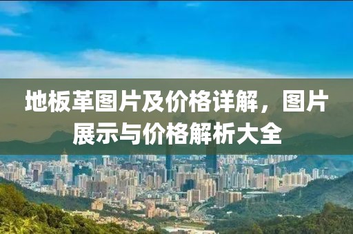 地板革图片及价格详解，图片展示与价格解析大全