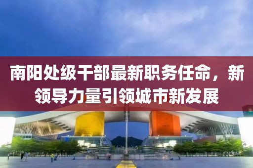 南阳处级干部最新职务任命，新领导力量引领城市新发展