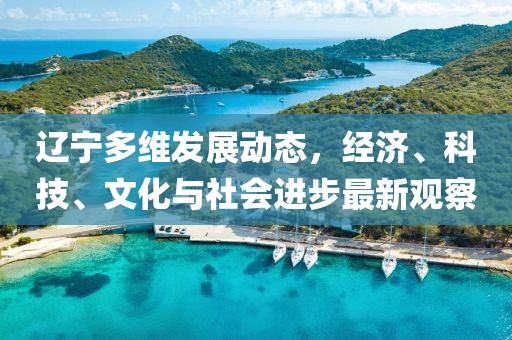 辽宁多维发展动态，经济、科技、文化与社会进步最新观察