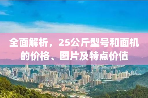 全面解析，25公斤型号和面机的价格、图片及特点价值