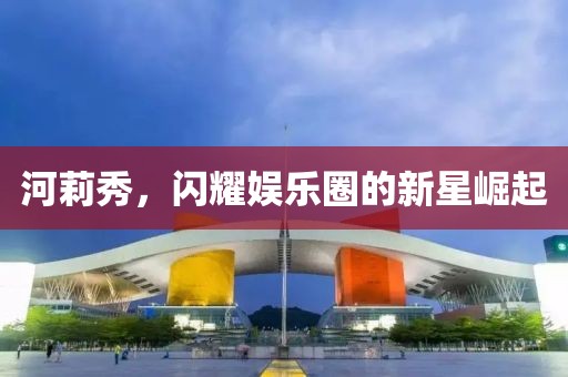 河莉秀，闪耀娱乐圈的新星崛起
