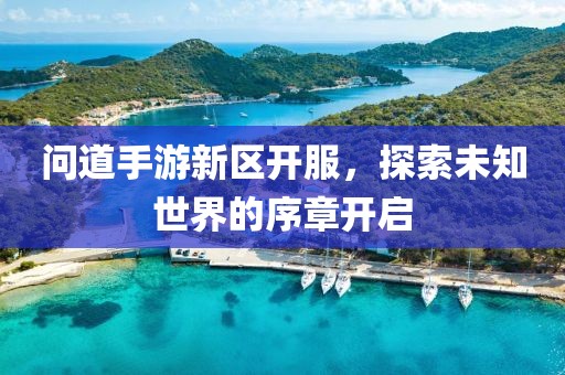 问道手游新区开服，探索未知世界的序章开启
