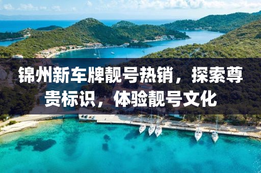 锦州新车牌靓号热销，探索尊贵标识，体验靓号文化