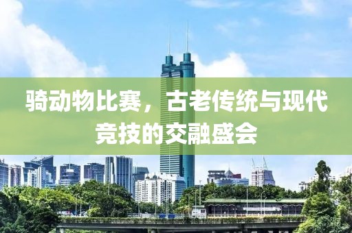 骑动物比赛，古老传统与现代竞技的交融盛会