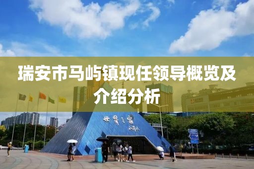 瑞安市马屿镇现任领导概览及介绍分析