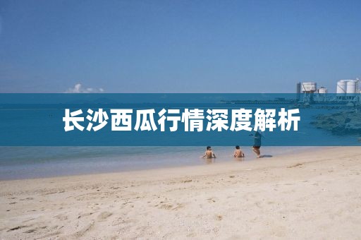 长沙西瓜行情深度解析