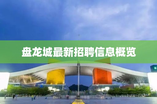 盘龙城最新招聘信息概览