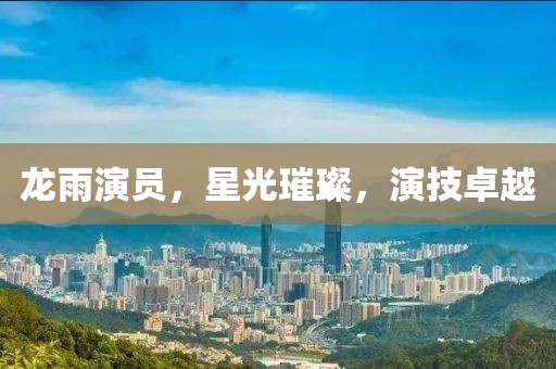 龙雨演员，星光璀璨，演技卓越