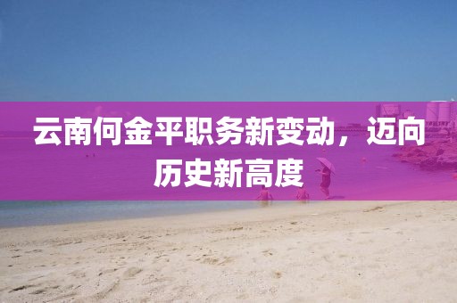 云南何金平职务新变动，迈向历史新高度