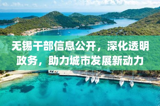 无锡干部信息公开，深化透明政务，助力城市发展新动力