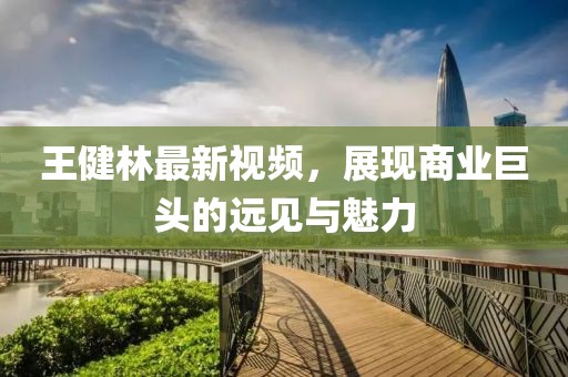 王健林最新视频，展现商业巨头的远见与魅力