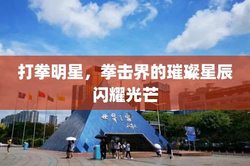 打拳明星，拳击界的璀璨星辰闪耀光芒