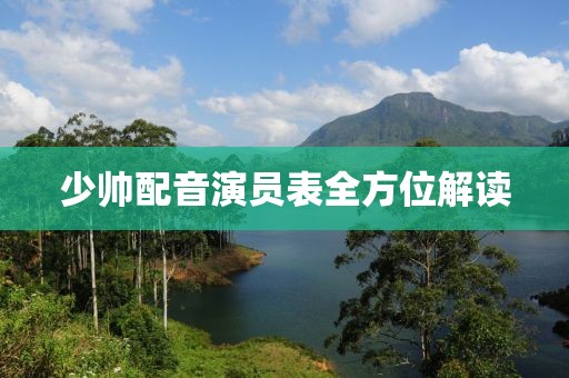 少帅配音演员表全方位解读