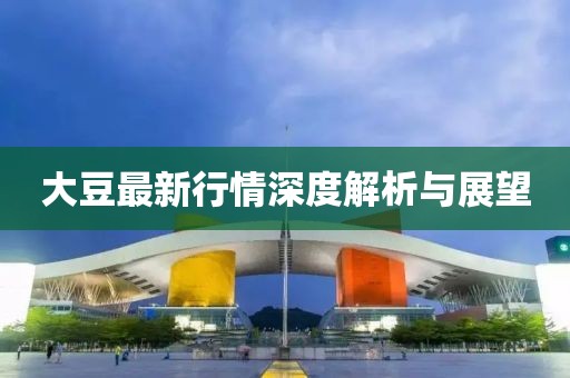大豆最新行情深度解析与展望