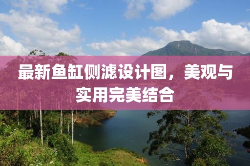 最新鱼缸侧滤设计图，美观与实用完美结合