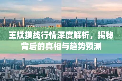 王斌摸线行情深度解析，揭秘背后的真相与趋势预测