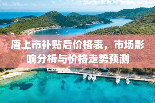唐上市补贴后价格表，市场影响分析与价格走势预测