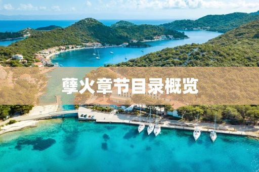 孽火章节目录概览