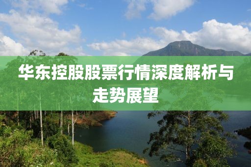 华东控股股票行情深度解析与走势展望