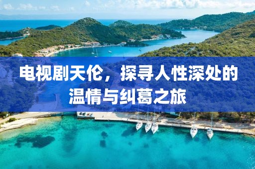 电视剧天伦，探寻人性深处的温情与纠葛之旅