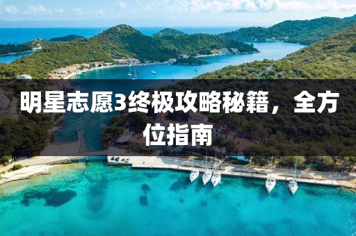 明星志愿3终极攻略秘籍，全方位指南