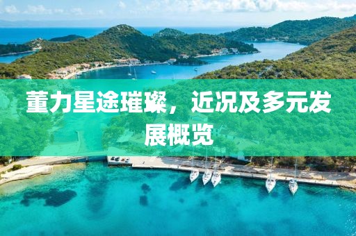 董力星途璀璨，近况及多元发展概览