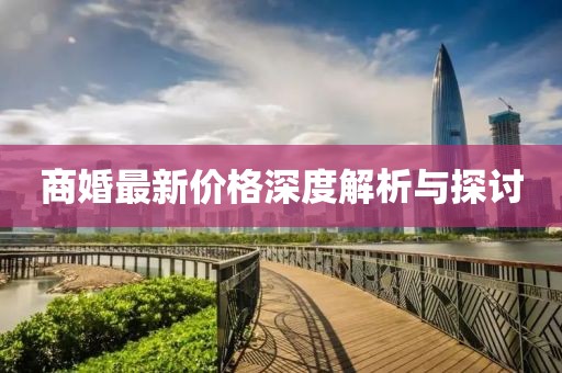 商婚最新价格深度解析与探讨