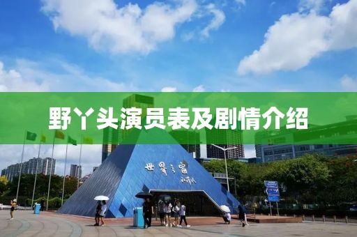 野丫头演员表及剧情介绍