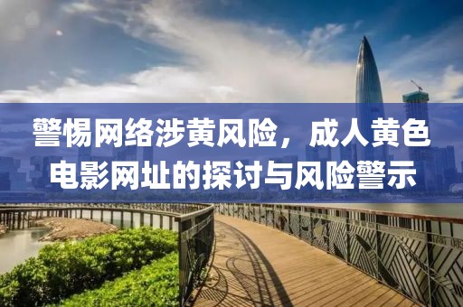 警惕网络涉黄风险，成人黄色电影网址的探讨与风险警示