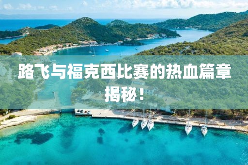 路飞与福克西比赛的热血篇章揭秘！