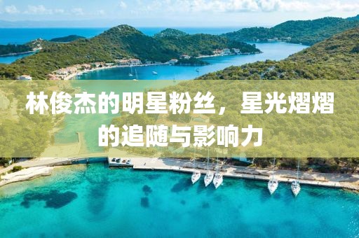林俊杰的明星粉丝，星光熠熠的追随与影响力