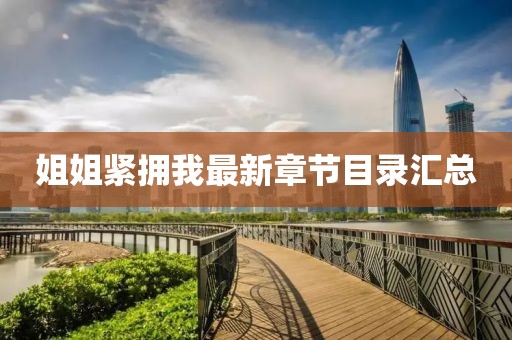 姐姐紧拥我最新章节目录汇总