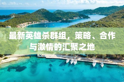 最新英雄杀群组，策略、合作与激情的汇聚之地