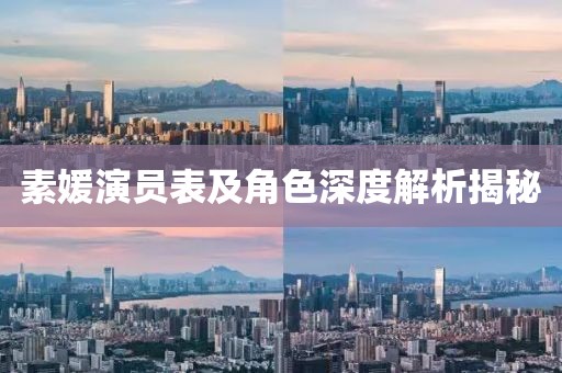 素媛演员表及角色深度解析揭秘