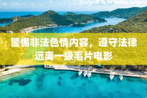 警惕非法色情内容，遵守法律远离一级毛片电影