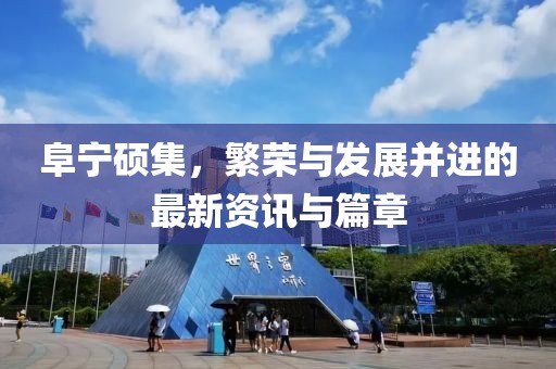 阜宁硕集，繁荣与发展并进的最新资讯与篇章