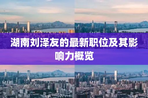 湖南刘泽友的最新职位及其影响力概览