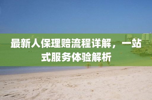 最新人保理赔流程详解，一站式服务体验解析