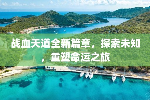 战血天道全新篇章，探索未知，重塑命运之旅