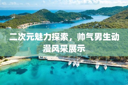 二次元魅力探索，帅气男生动漫风采展示