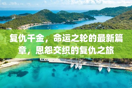 复仇千金，命运之轮的最新篇章，恩怨交织的复仇之旅