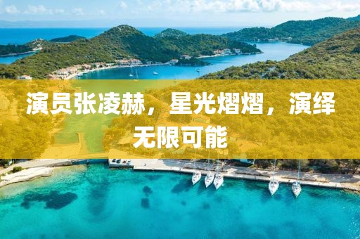演员张凌赫，星光熠熠，演绎无限可能