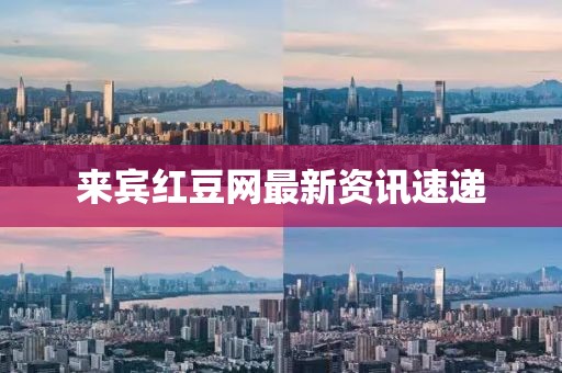 来宾红豆网最新资讯速递