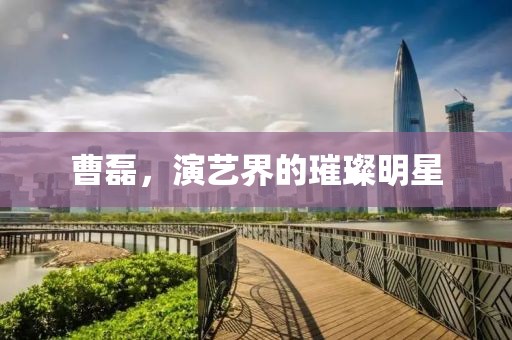 曹磊，演艺界的璀璨明星