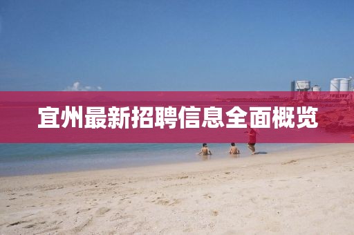宜州最新招聘信息全面概览