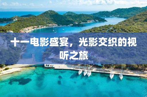 十一电影盛宴，光影交织的视听之旅