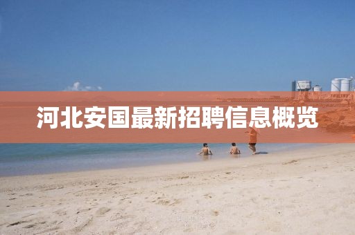 河北安国最新招聘信息概览