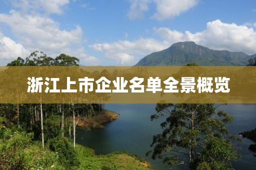 浙江上市企业名单全景概览